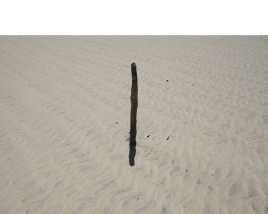 presence-in-absence05.jpg
