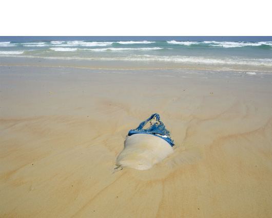 washed-up-clothing01.jpg