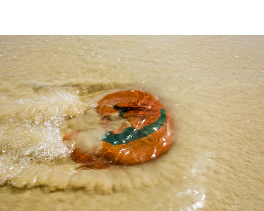 washed-up-clothing03.jpg