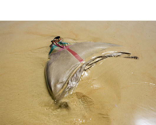 washed-up-clothing06.jpg