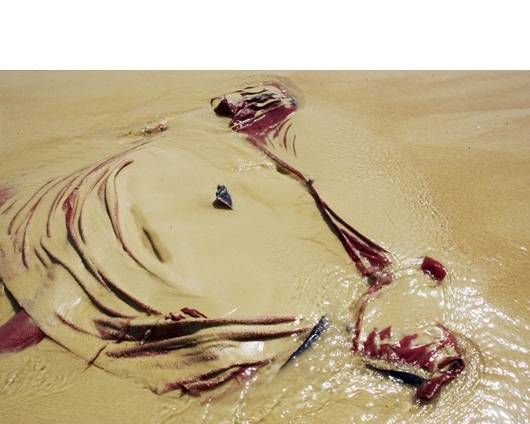 washed-up-clothing07.jpg