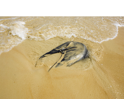 washed-up-clothing08.jpg