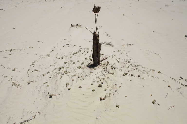 African migrants graves Judith Quax 05